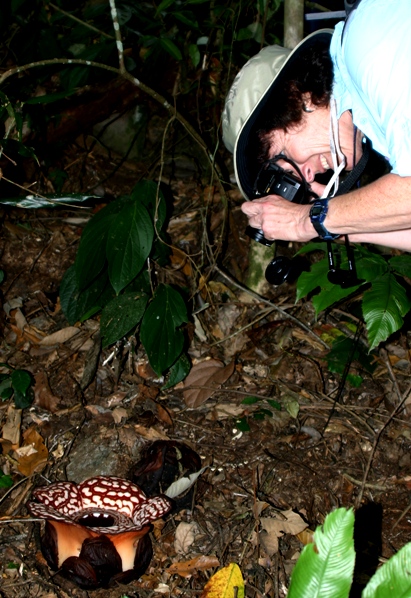 wendy with rafflesia