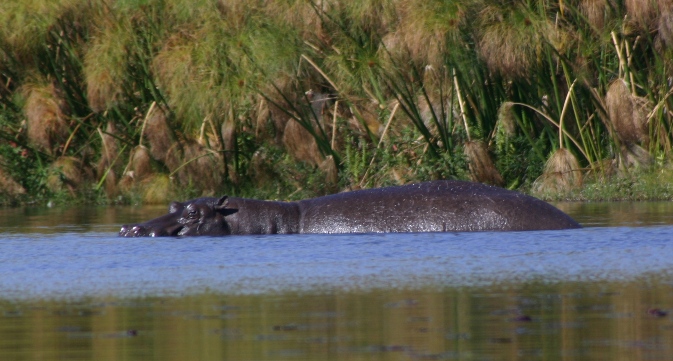 botswana