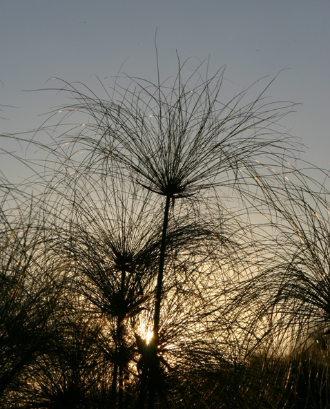 botswana