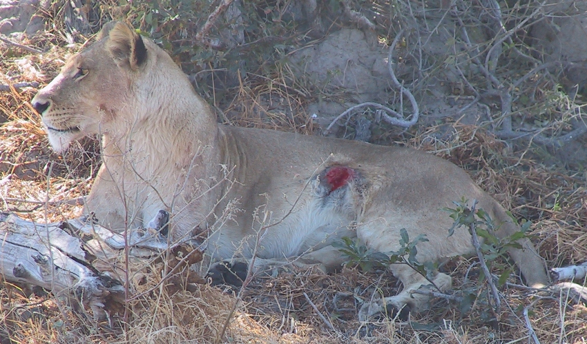 botswana