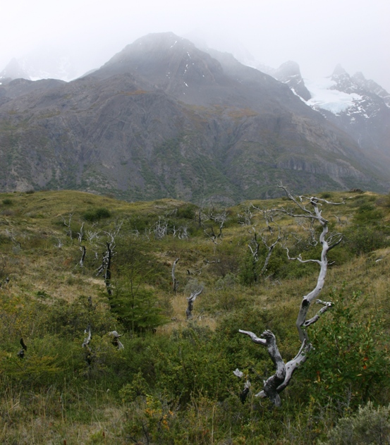 patagonia 2004